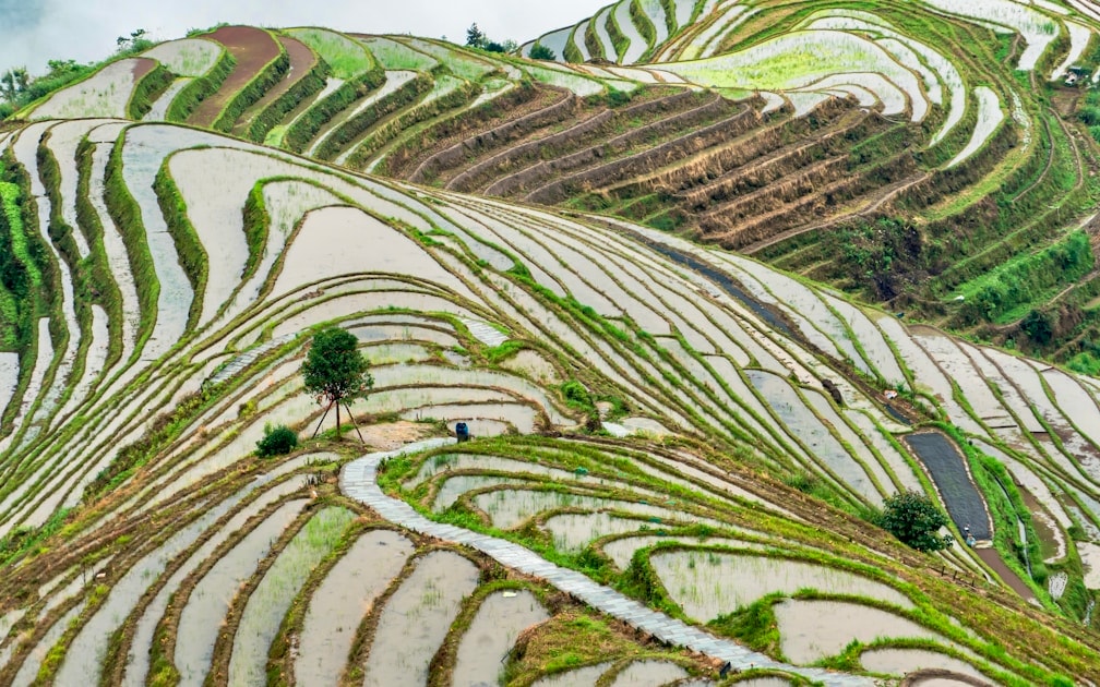 Longsheng Cycling Guide: Exploring the Journey from Guilin to Longji Rice Terraces by Bike or E-Bike