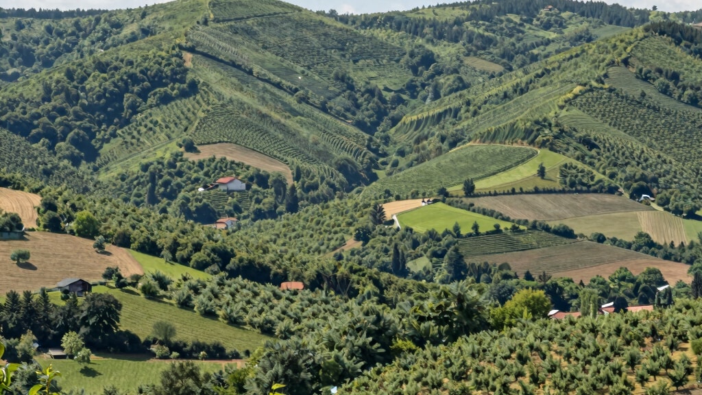 Rolling green orchard hills and farmland stretching across the countryside east of Chengdu.