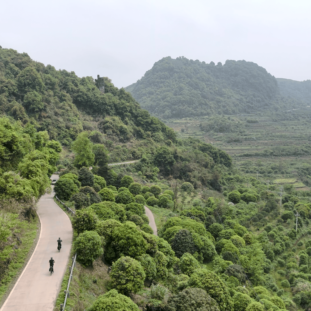 Aerial view of two riders on a paved lane along a wooded ridge above orchards