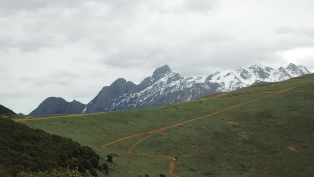 A green grassland slope running up toward a distant snow ridge under heavy cloud.