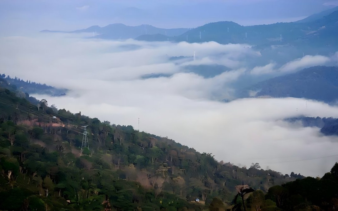 Xishuangbanna Bike Tour: Tea Mountains, Dai Villages and Tropical Yunnan Roads