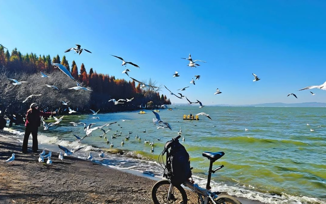 Kunming Bike Tour: Dianchi Greenway and Yangzonghai Lake Cycling