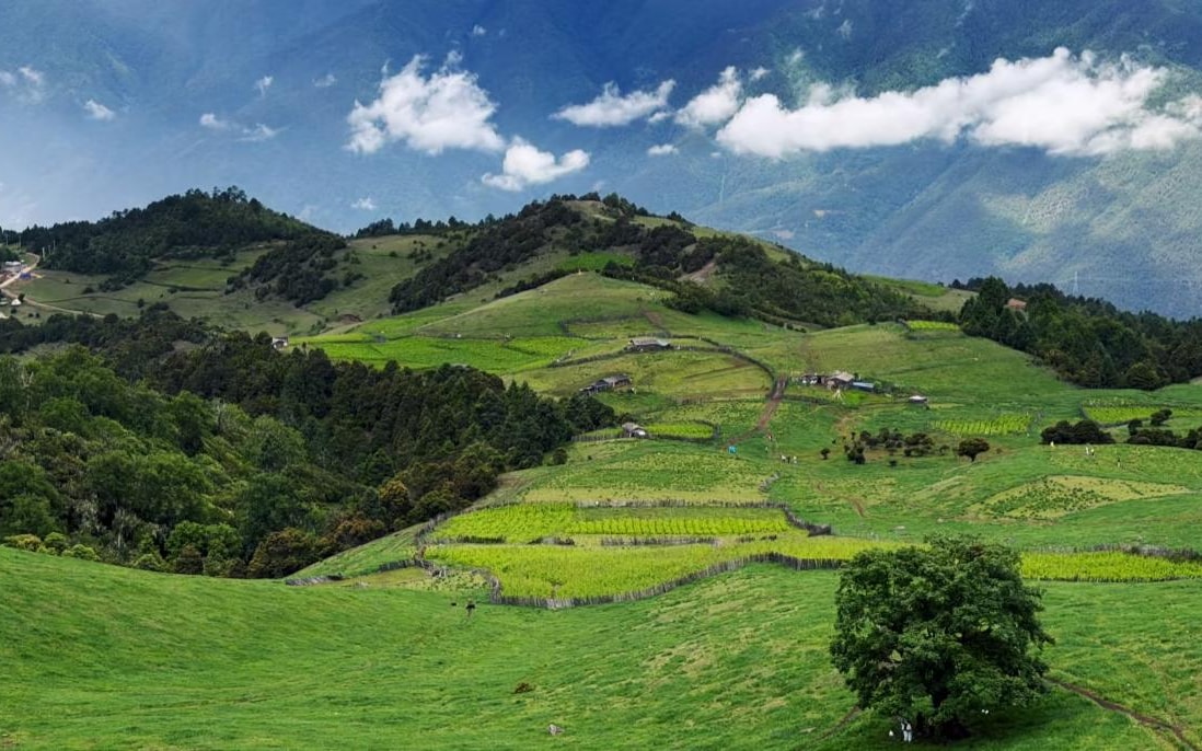 Laoyao Mountain E-MTB Ride in Shangri-La: Alpine Pasture Route Near Tiger Leaping Gorge