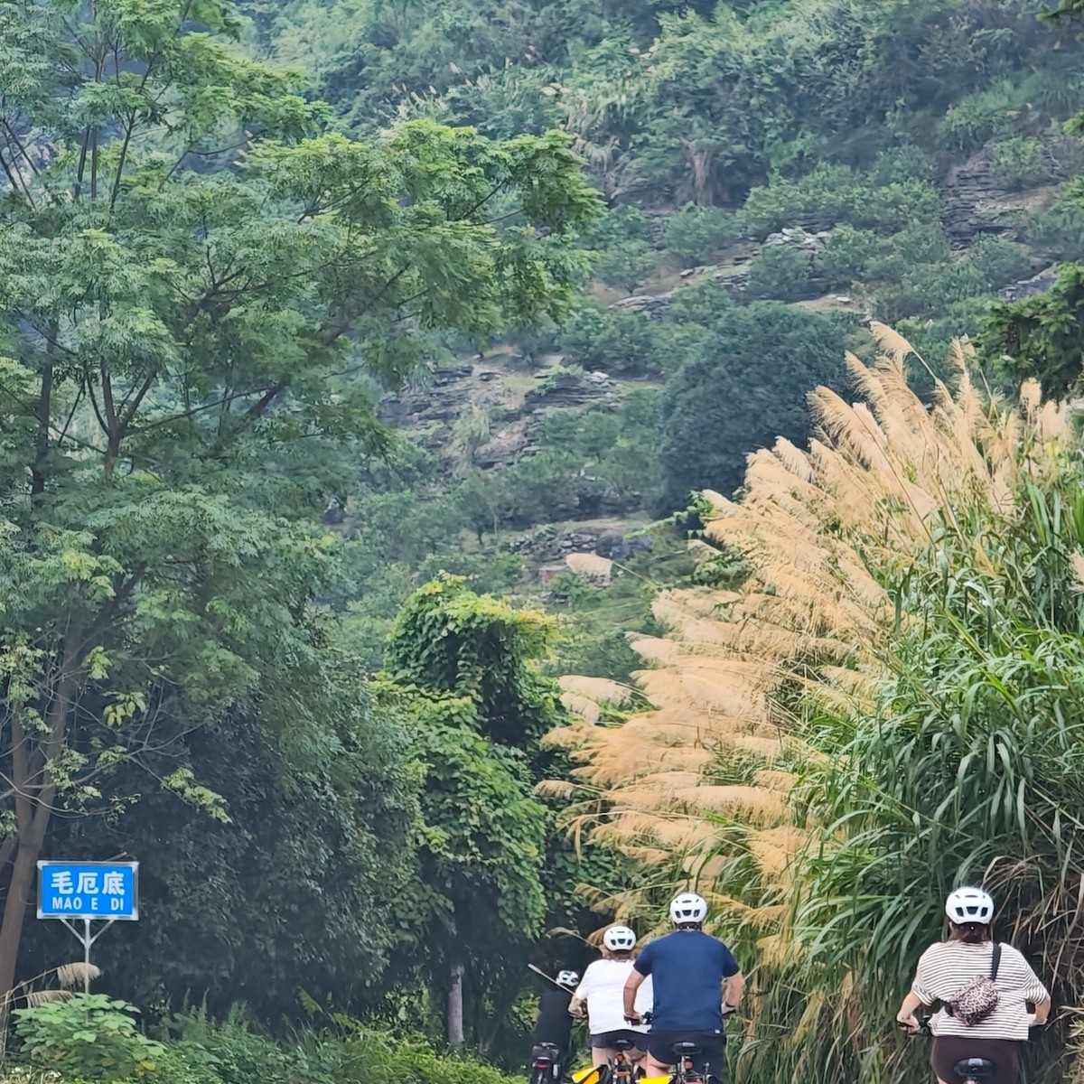 66km e-cycle tour with CycleQuest China — photo 6 from The Hanson family