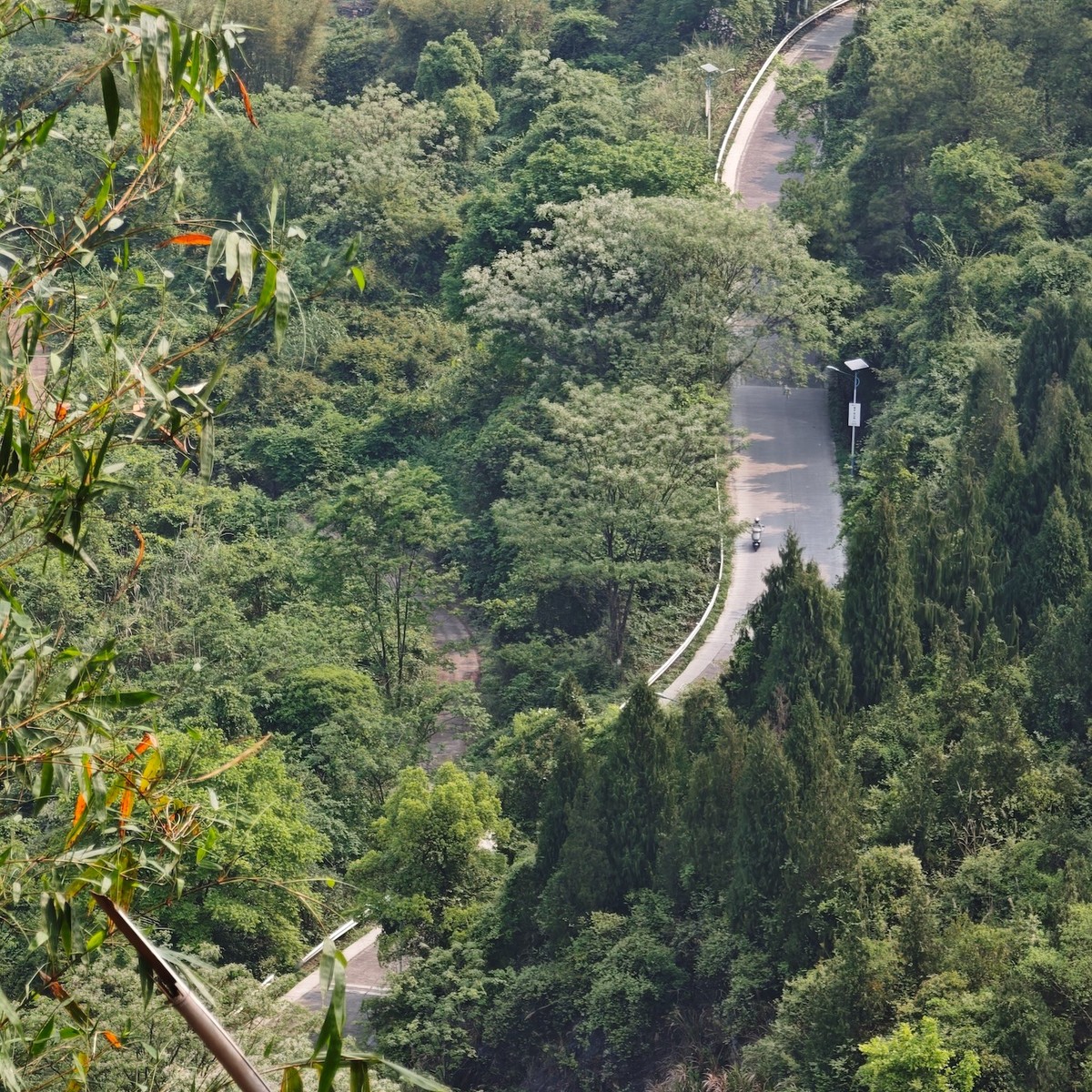 A hairpin road curving through dense green hillside, seen from above