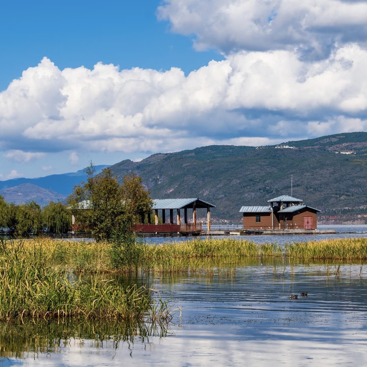 Reed beds and small wooden lake cabins on still water, green hills beyond