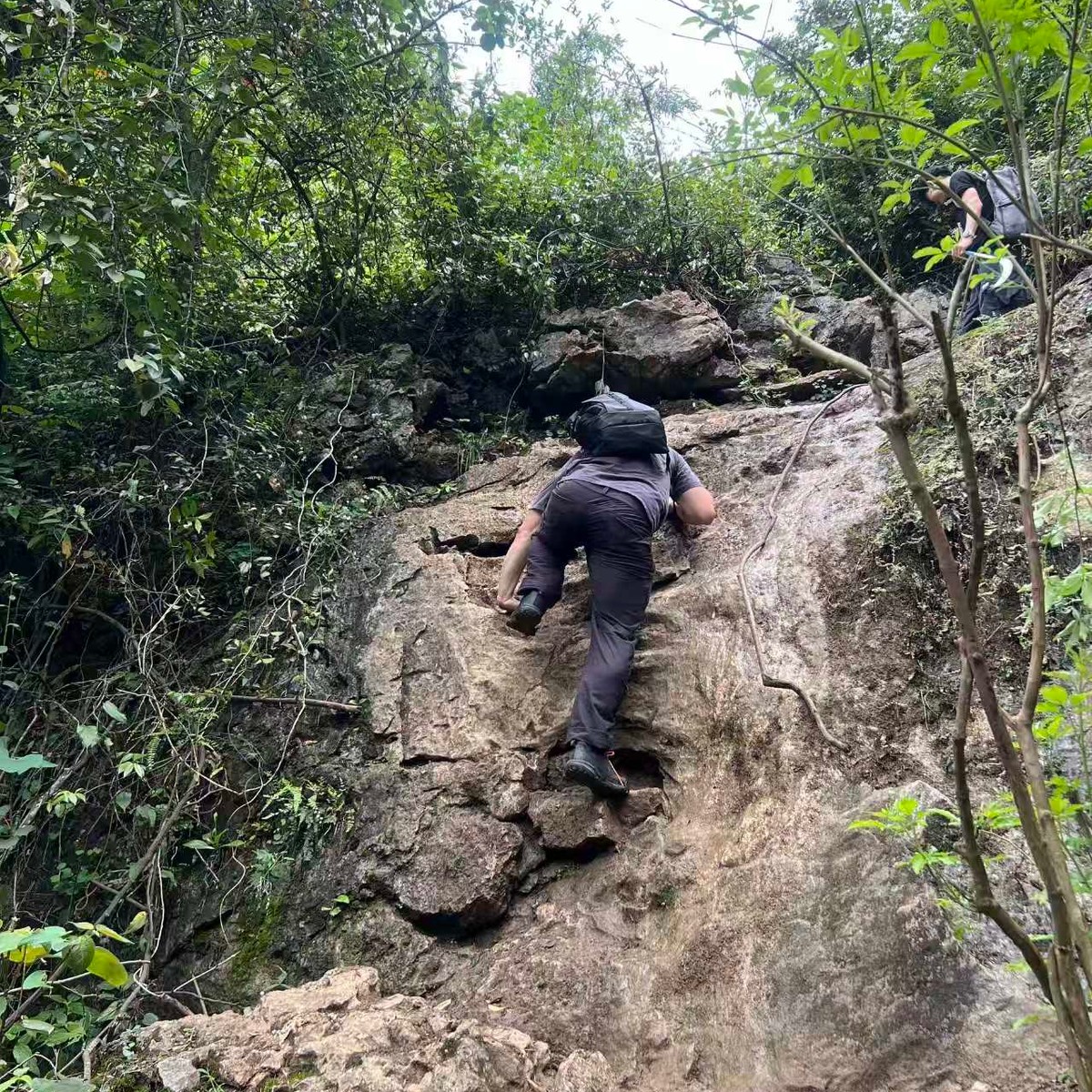 Rider scrambling up a bare rock slab on the wooded hiking trail
