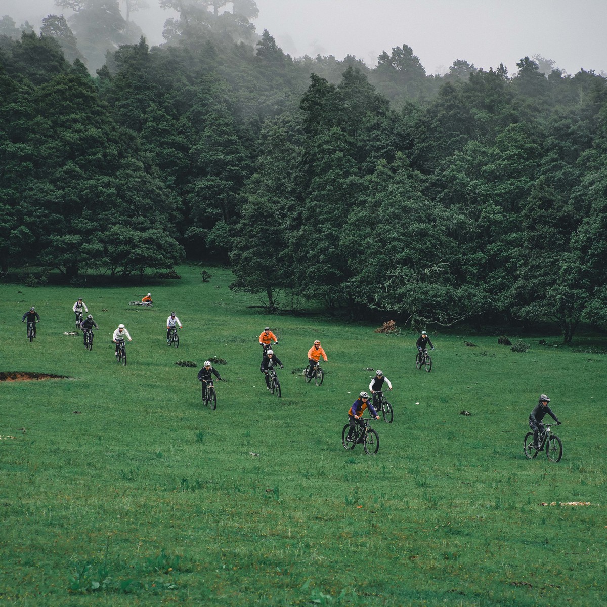 A group of riders on mountain bikes crossing a wide green meadow below misty forest