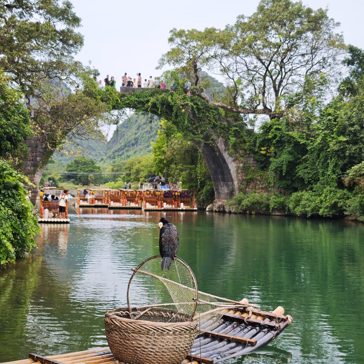 Moored bamboo rafts and a cormorant on a raft below an old stone arch bridge