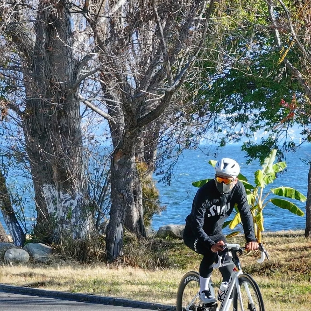 Cyclist riding along the lakeside path under bare trees beside the water