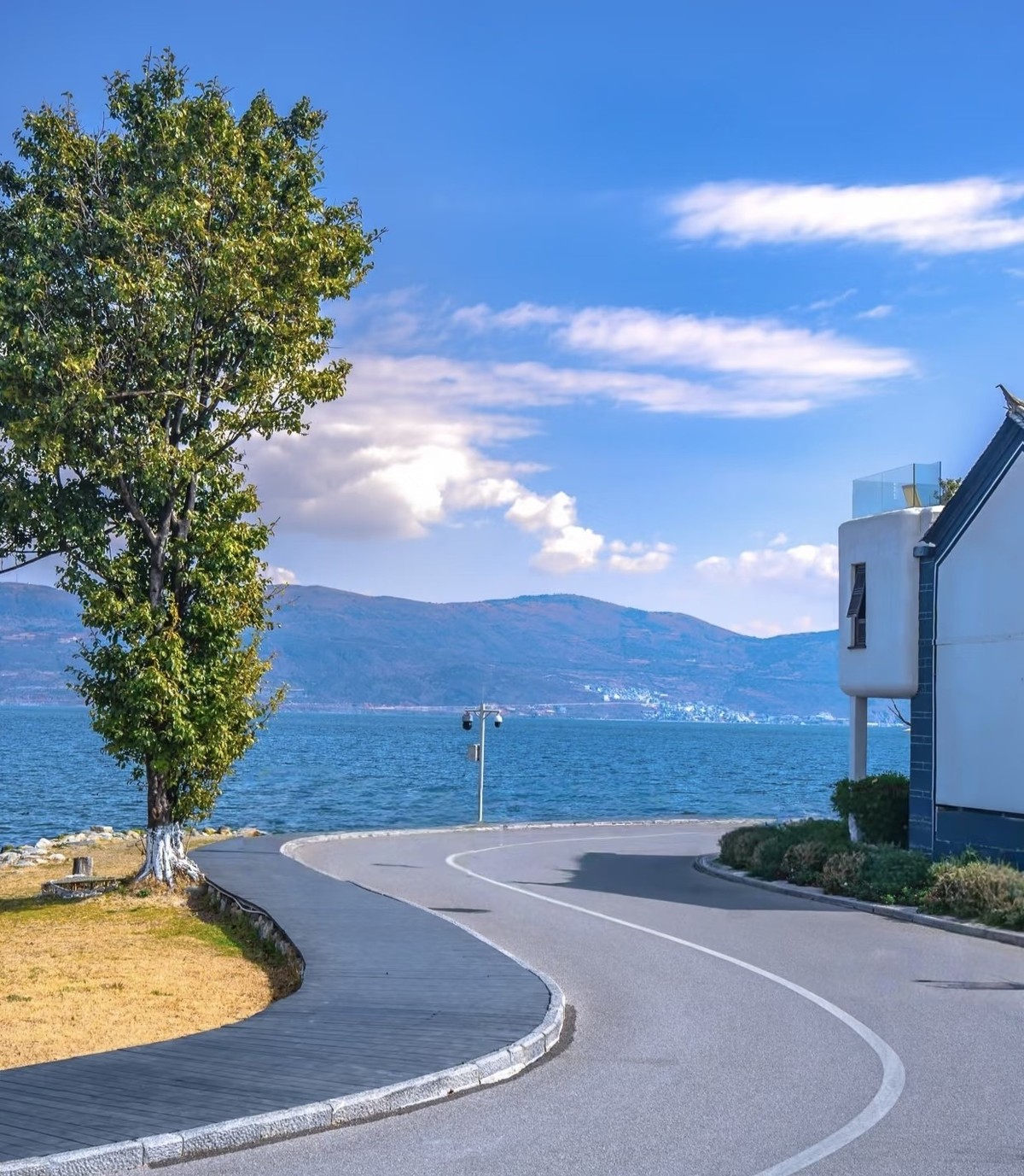 Curving lakeside road with a white building and tree, Erhai and Cangshan beyond
