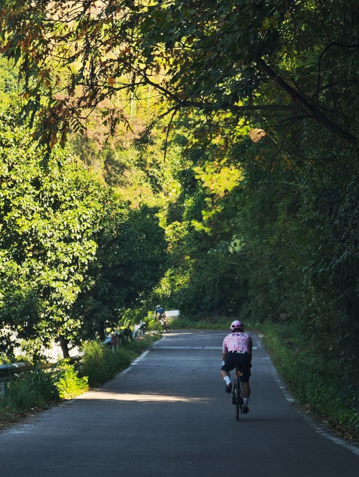 Rider on a shaded lane under a canopy of trees