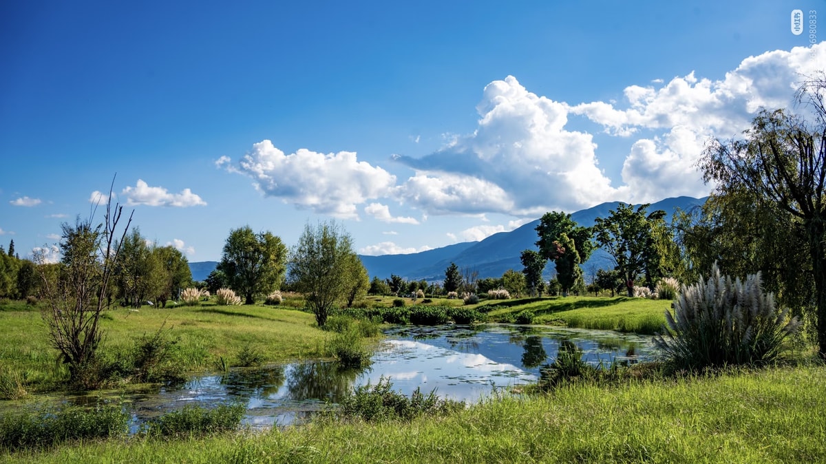 Wetland pools and grassy banks beside Erhai with Cangshan behind