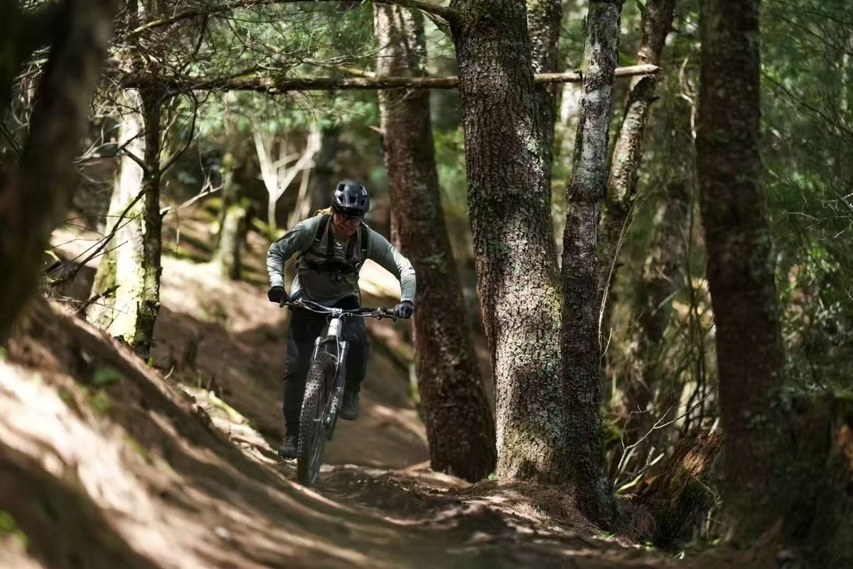 Niaodiao Mountain e-bike tour — photo 3