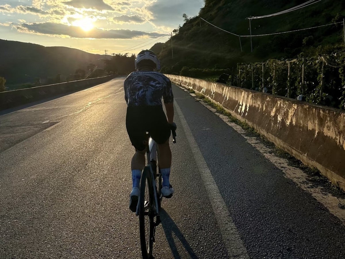 Cyclist riding a hillside road into low morning sun beside an orchard wall