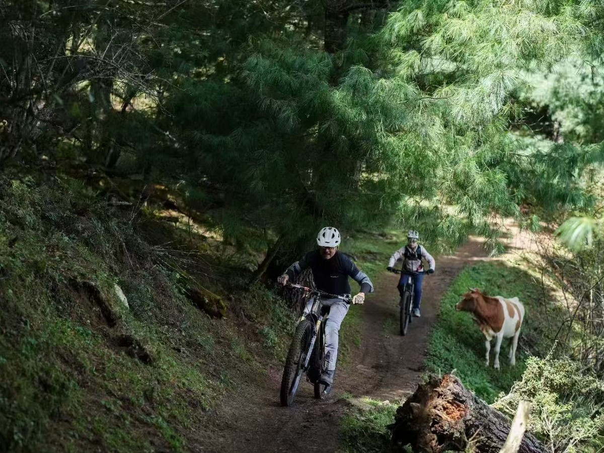 Niaodiao Mountain e-bike tour — photo 5