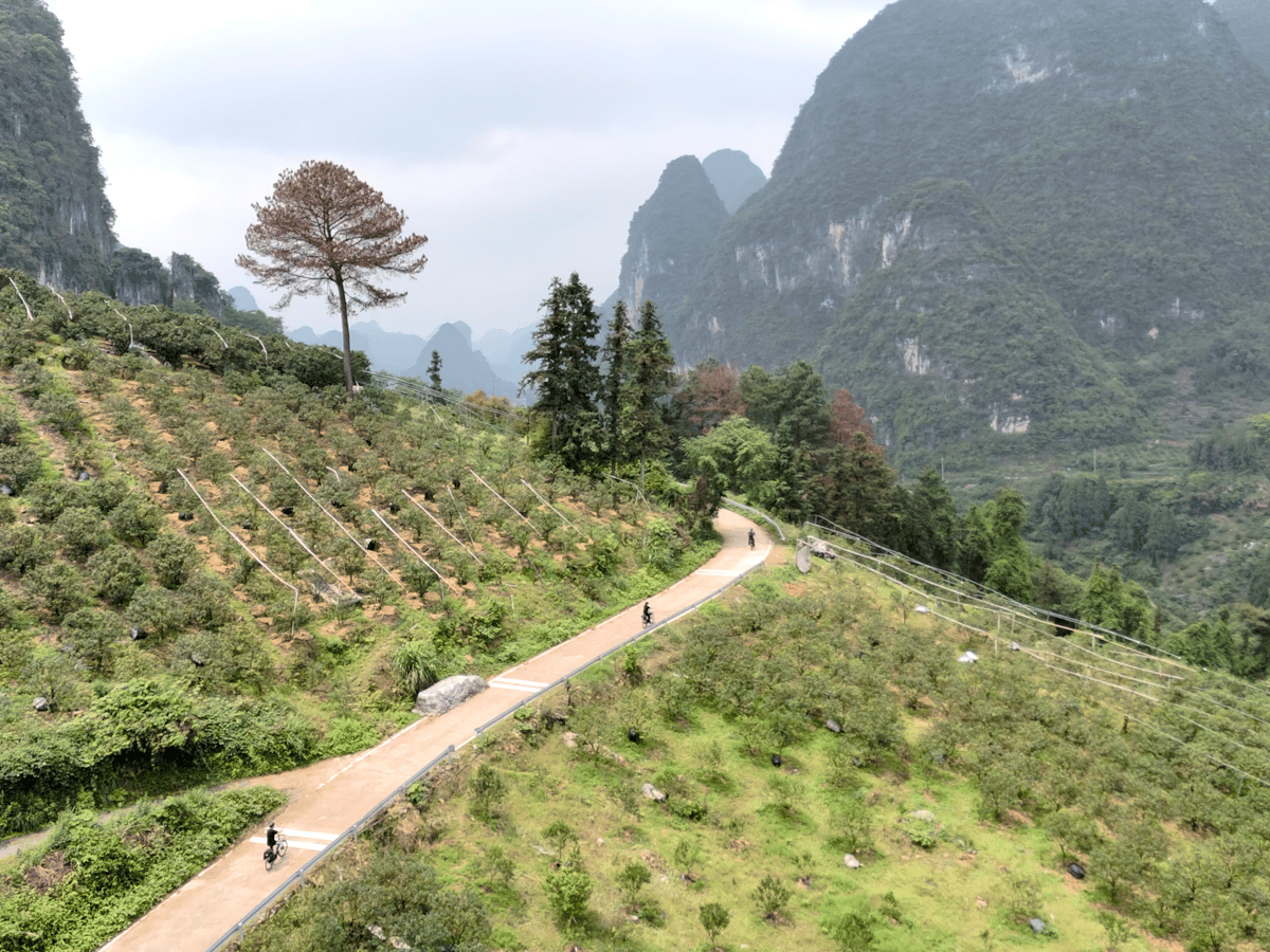 Aerial view of riders on a lane climbing through orchard terraces between karst peaks
