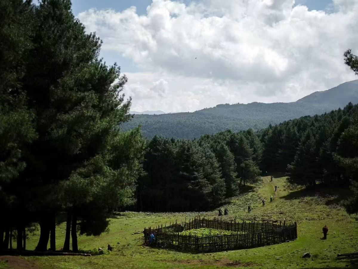 Niaodiao Mountain e-bike tour — photo 4