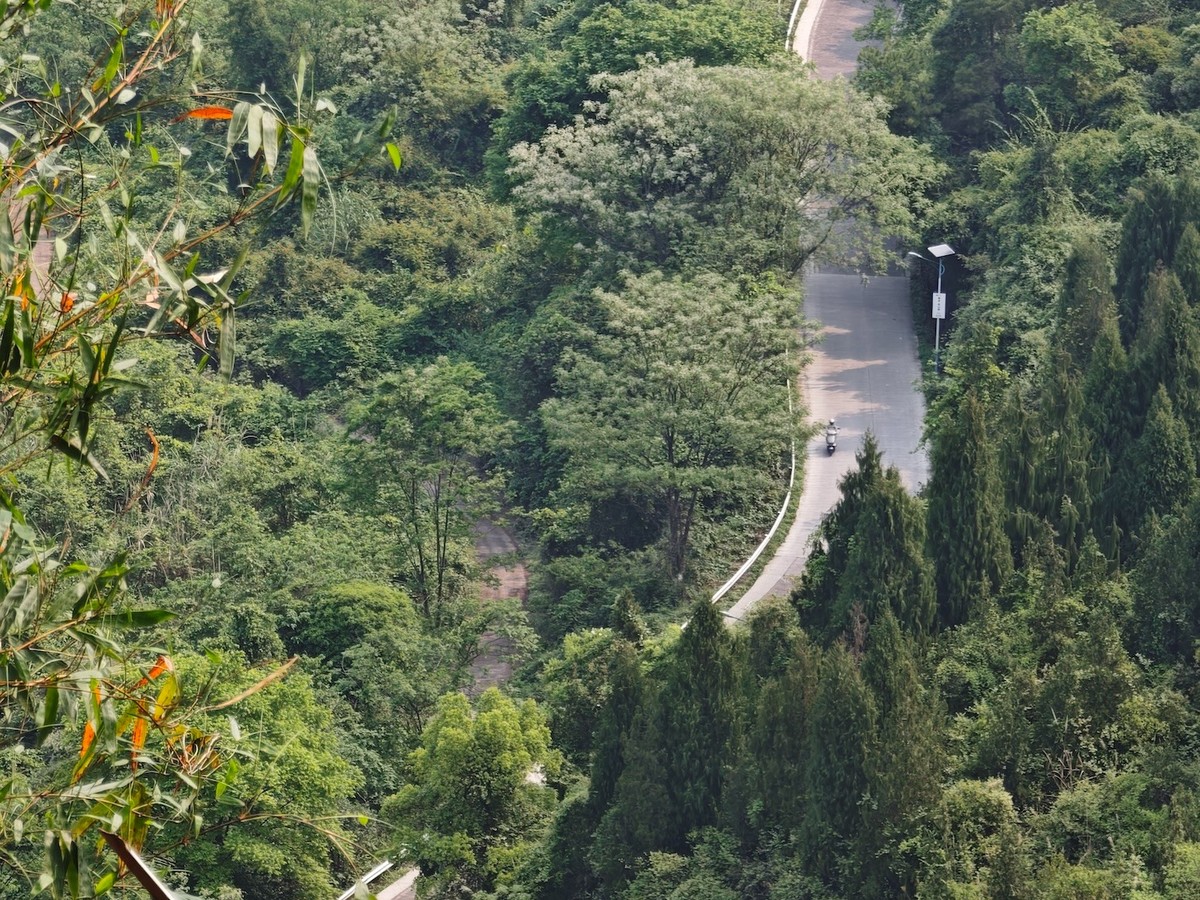 A hairpin road curving through dense green hillside, seen from above