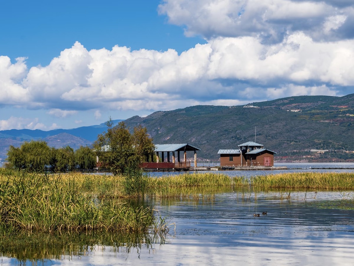 Reed beds and small wooden lake cabins on still water, green hills beyond