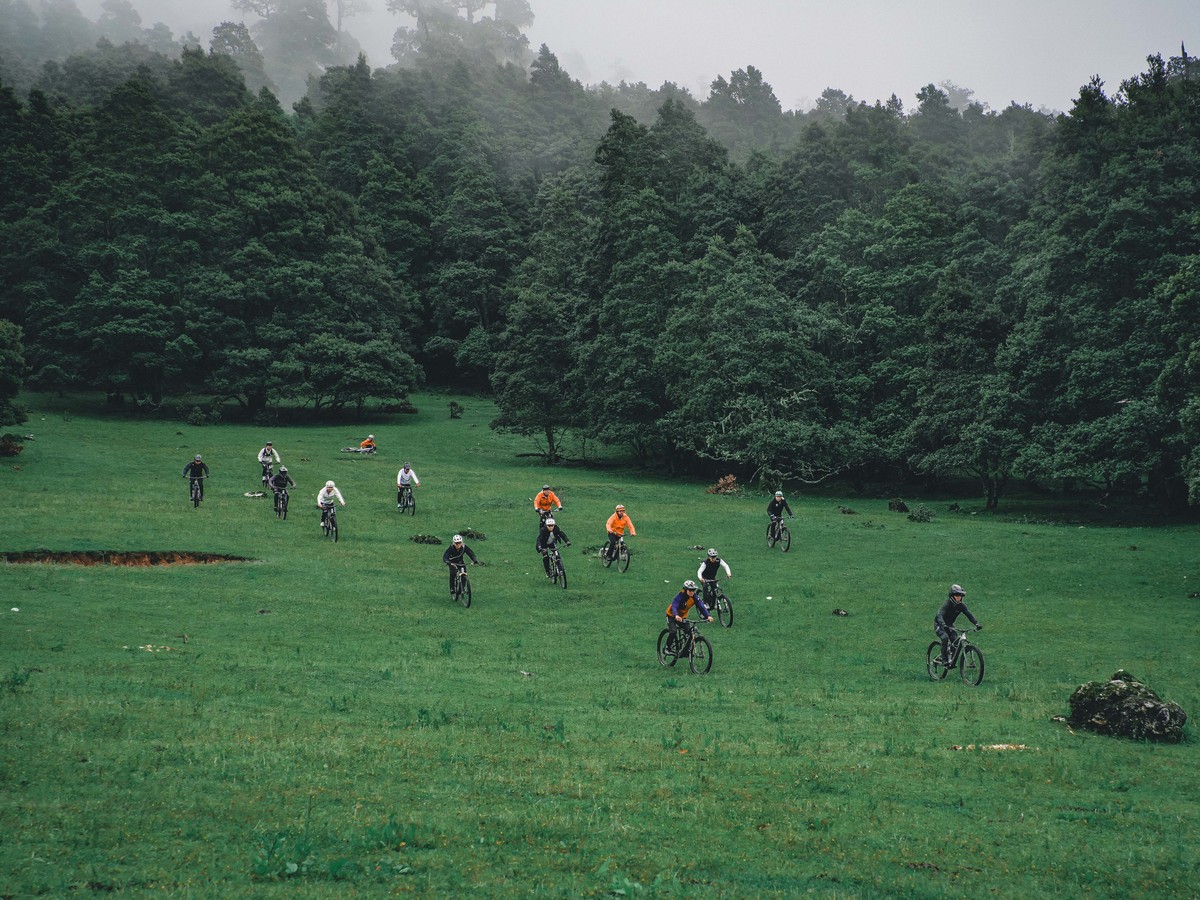 A group of riders on mountain bikes crossing a wide green meadow below misty forest