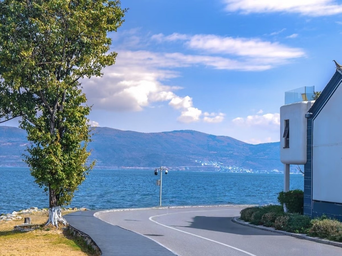 Curving lakeside road with a white building and tree, Erhai and Cangshan beyond
