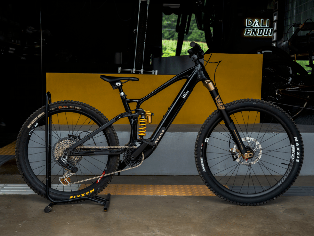 Teewing Turbo Force E-Bike (M1) e-bike, available to rent from CycleQuest China