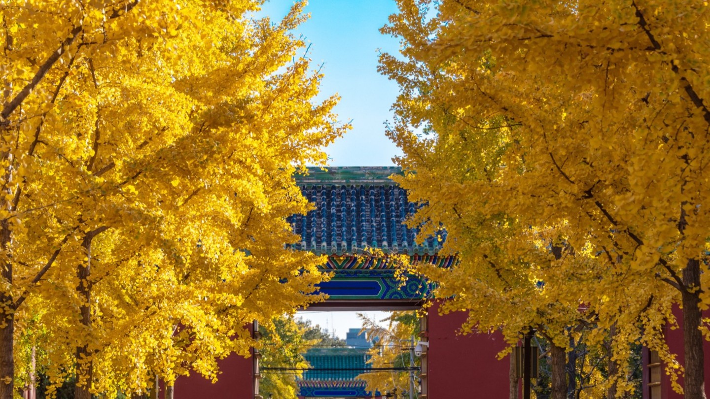 Temple of Earth (Ditan Park) 地坛公园