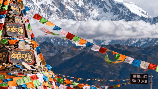 Black yaks walk past a Buddhist stupa with prayer flags and snow-capped Himalayan mountains.