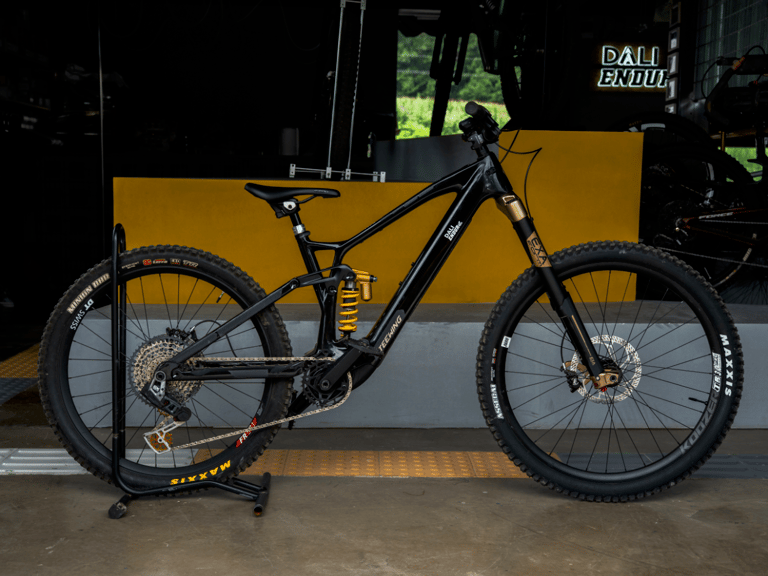 Teewing Turbo Force E-Bike (M1) e-bike, available to rent from CycleQuest China