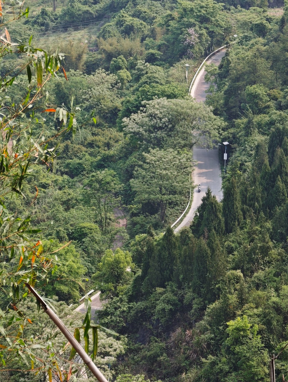 A hairpin mountain road curving through dense green hillside in the karst mountains