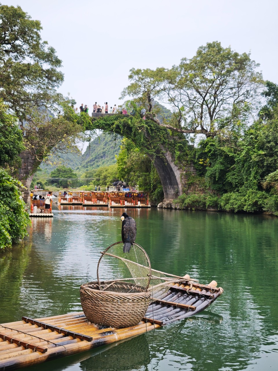 Bamboo raft with a cormorant and fishing basket moored below an ivy-covered stone arch on the Yulong River, rafts gathered under the bridge